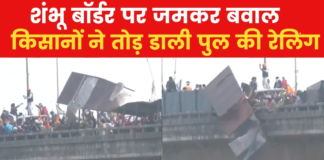 Farmers Protest: शंभू बॉर्डर पर ह‍िंसक हुआ क‍िसानों का प्रदर्शन, तोड़ी पुल की फेंसिंंग